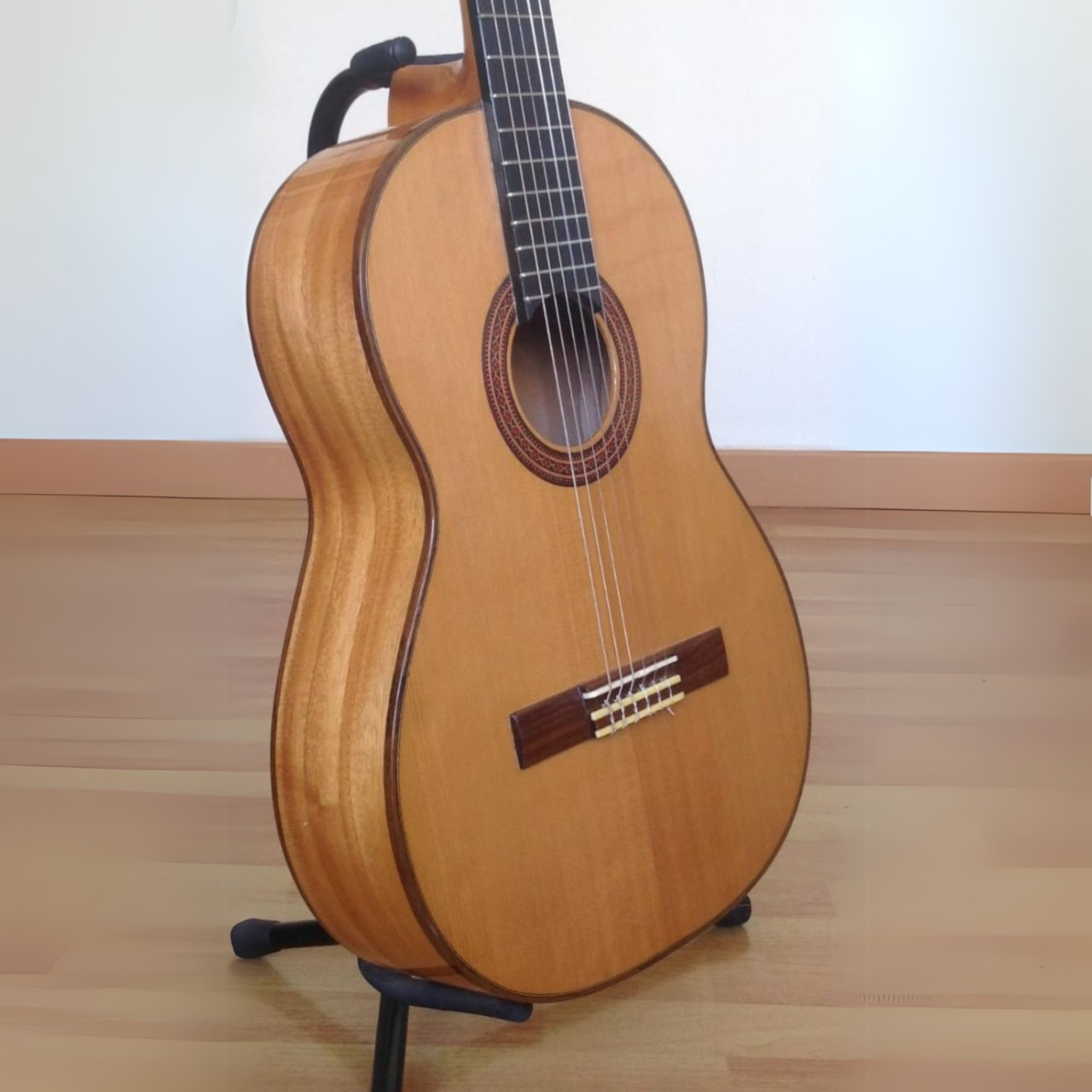 Gustavo Arias 2A Paraiso