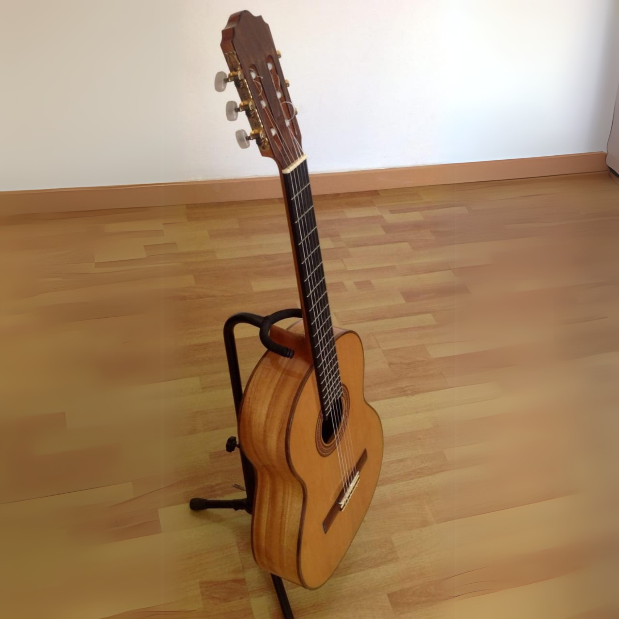 Gustavo Arias 2A Paraiso