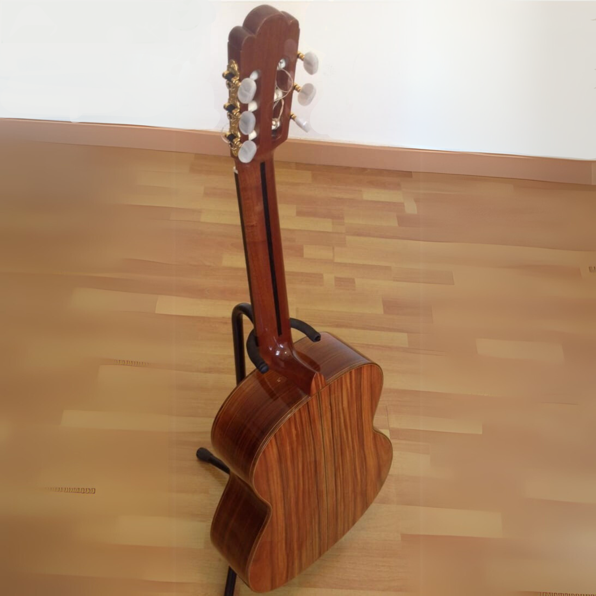 Gustavo Arias 1A Maestro - Canadian Cedar Top
