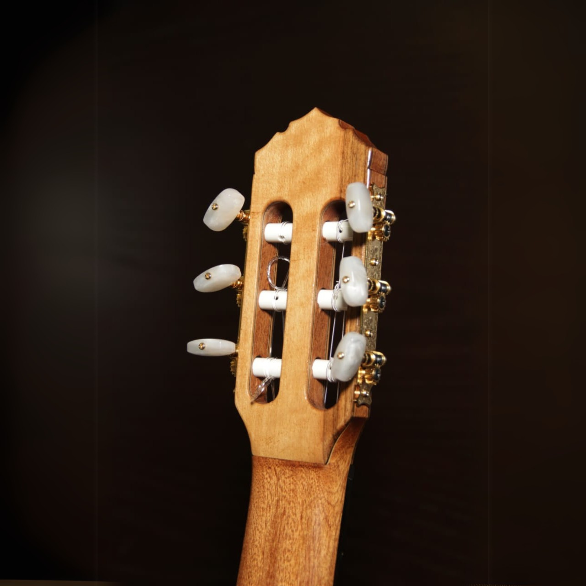 Robert Wissam Ram Model - Canadian Cedar