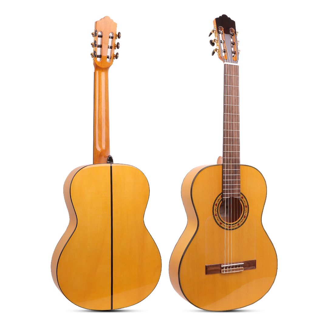 Nashville Solera F-SG Flamenco Guitar