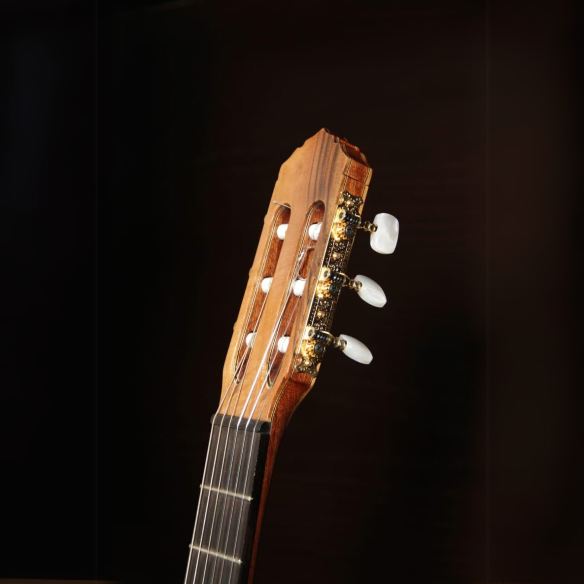 Robert Wissam Ram Model - Aged Split German Spruce