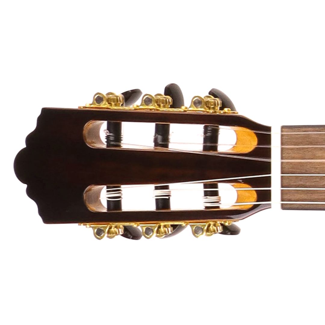 Nashville Solera F-SG Flamenco Guitar