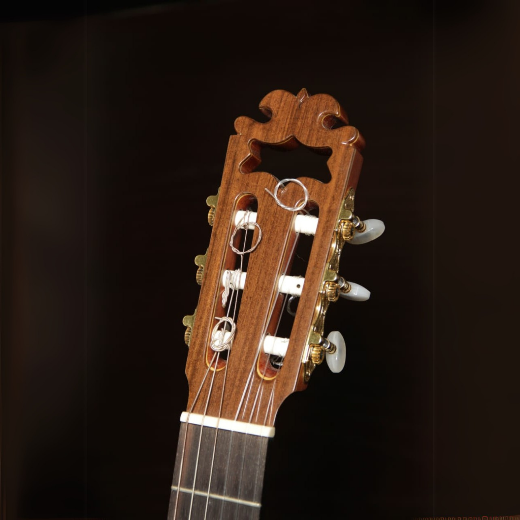 Gustavo Arias 1A Maestro - Engelmann Spruce Top