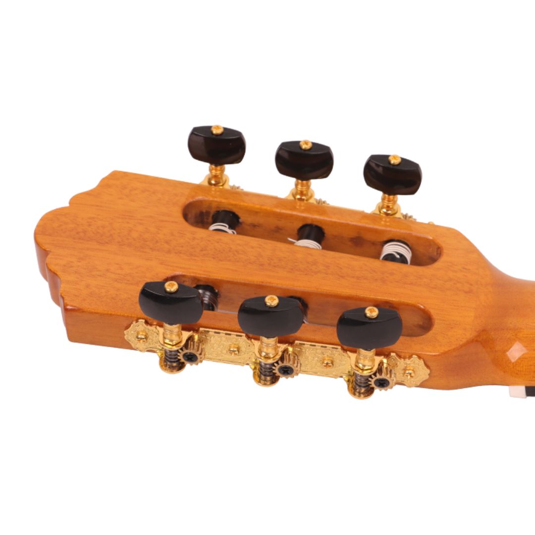 Nashville Solera F-SG Flamenco Guitar