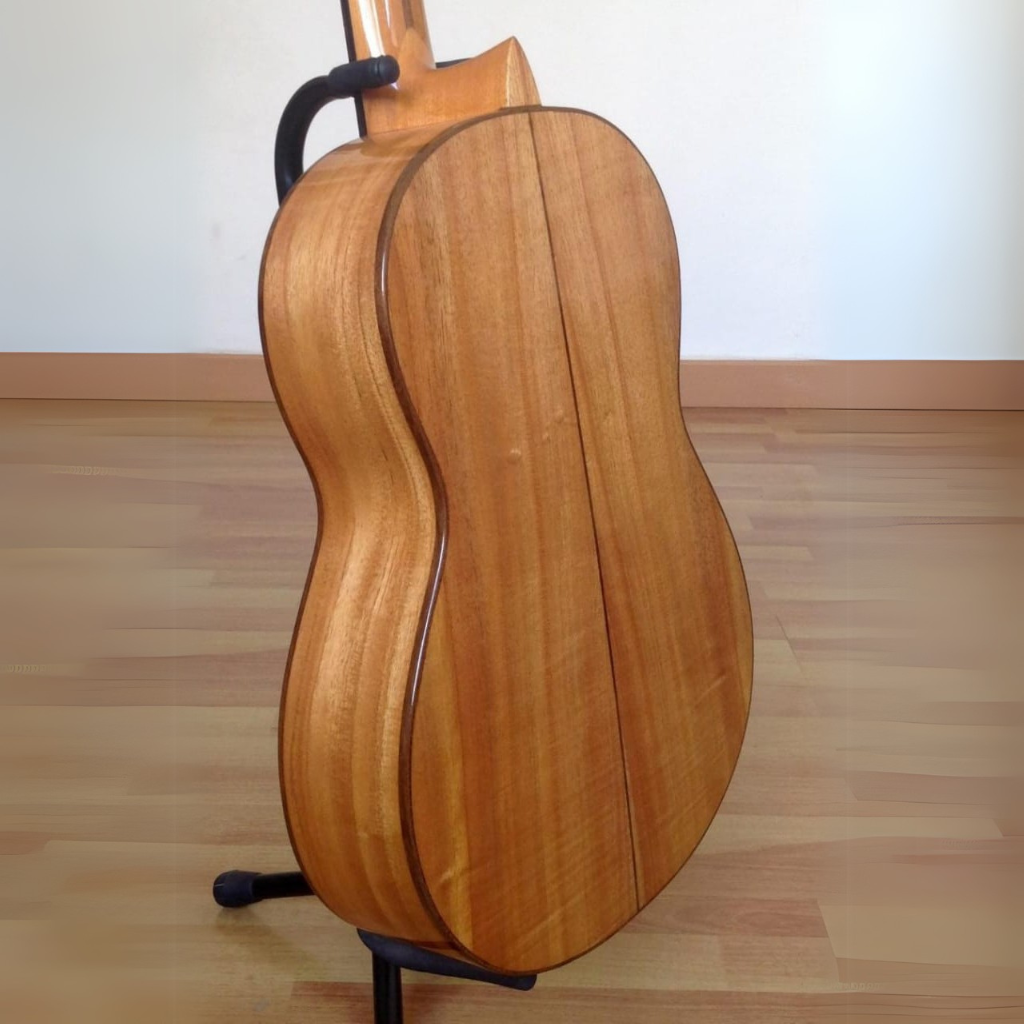 Gustavo Arias 2A Paraiso