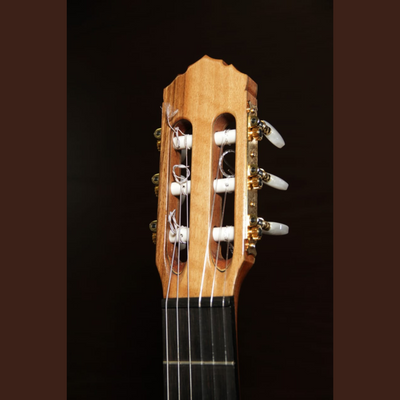 Robert Wissam Ram Model - Canadian Cedar