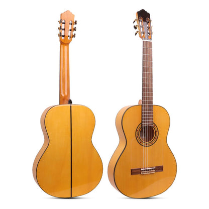 Nashville Solera F-SG Flamenco Guitar