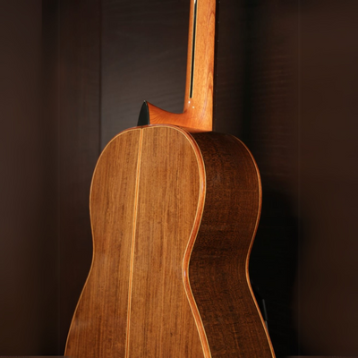 Gustavo Arias 1A Maestro - Engelmann Spruce Top