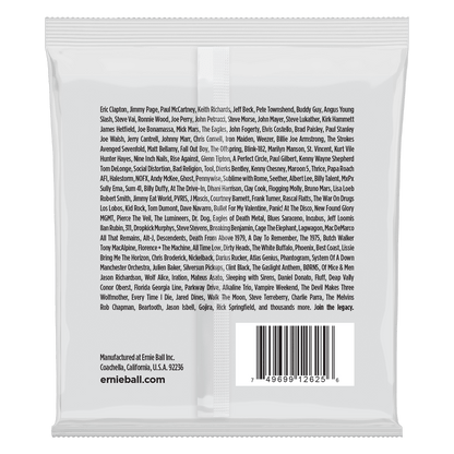 Ernie Ball 8-String Regular Slinky 10-74